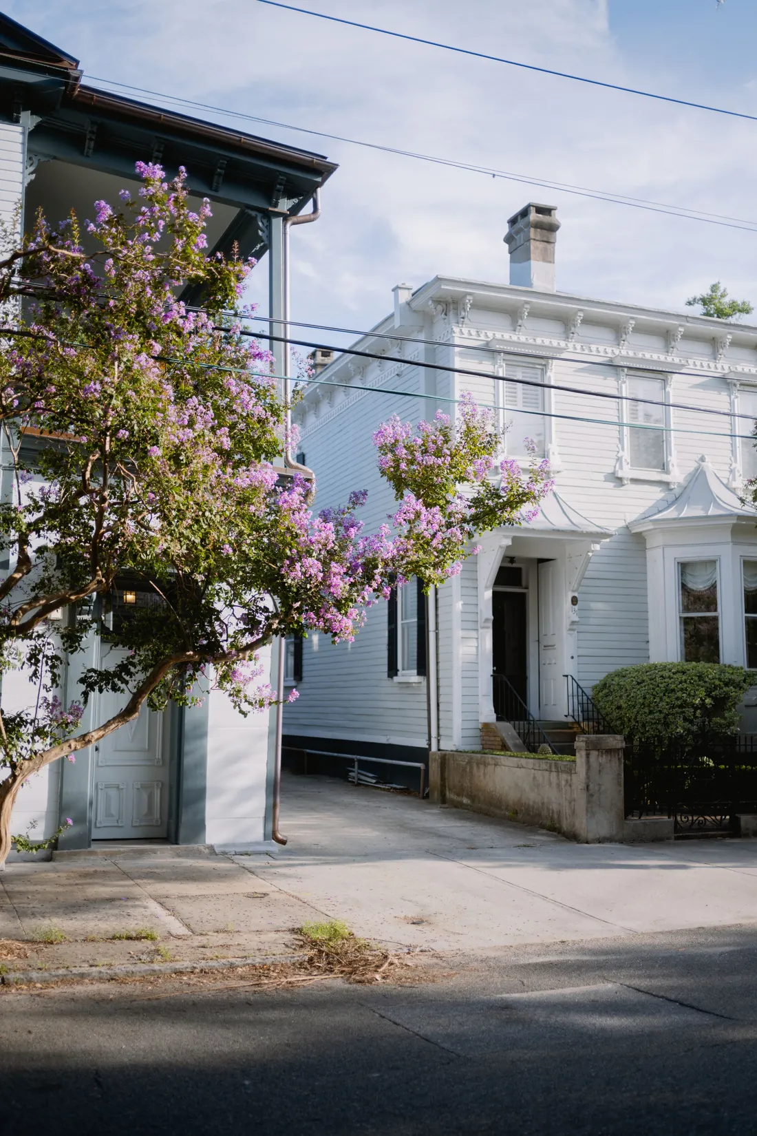 A classic Charleston home with flowering landscaping along a historic street