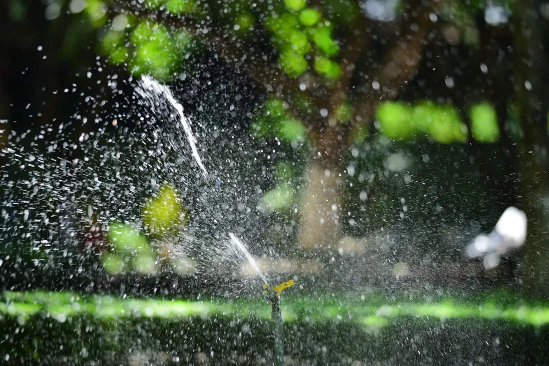 A sprinkler running across a lawn, backlit by low sun